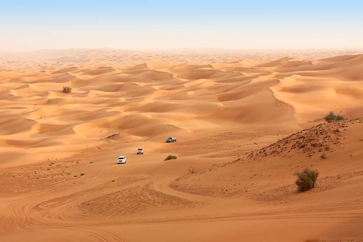 Le désert de Dubaï - Emirats Arabes Unis © AlexBukharov/fotolia.com