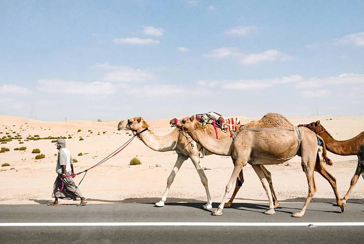 Désert Abou Dhabi - Emirats Arabes Unis © Salman Sidheek / Unspalsh.com