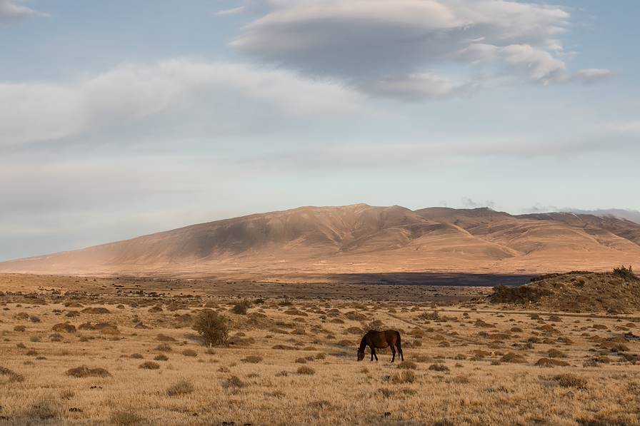 Patagonie - Argentine © Alix Pardo