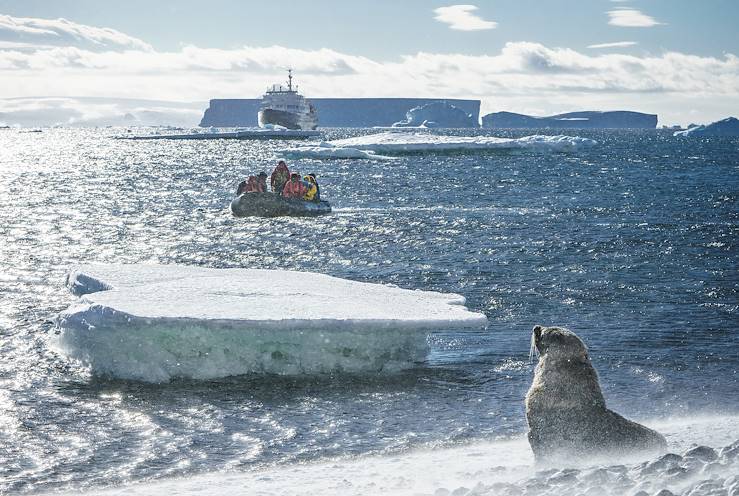 Plancius - Antarctique © Dietmar DENGER/LAIF-REA