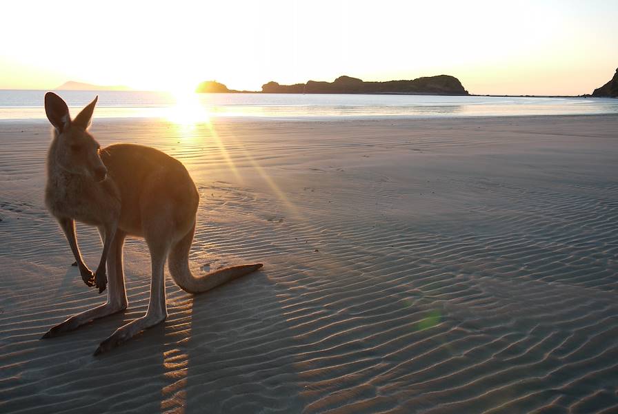 Kangaroo Island - Australie © kentauros / Fotolia.com