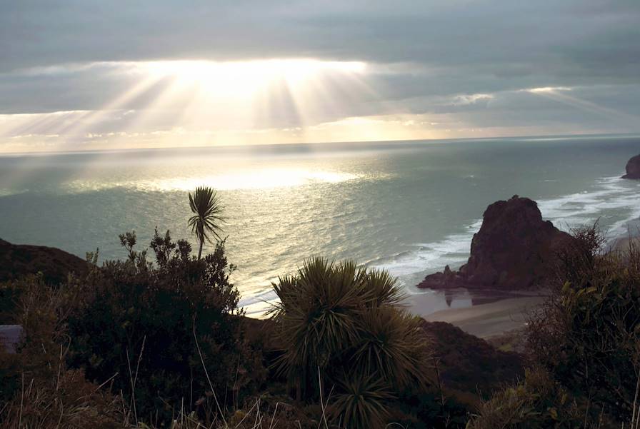 Région d'Auckland - Ile du Nord - Nouvelle-Zélande © Ana Nance/REDUX-REA