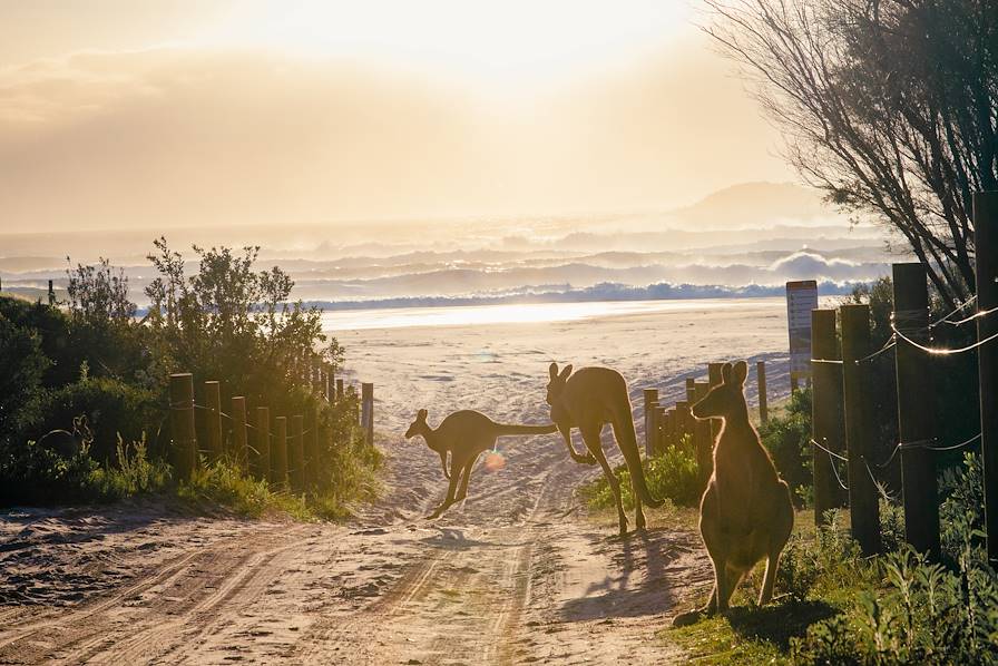 Australie © Lucy Laucht