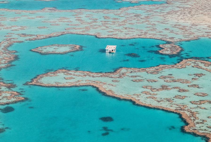 La grande barrière de corail - Australie © Rhiannon Taylor