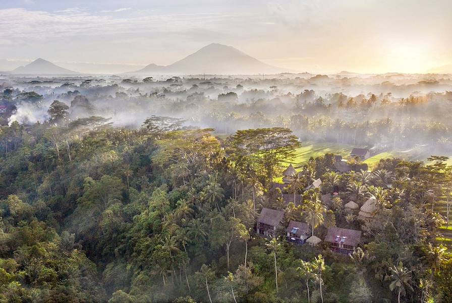 Ubud - Indonésie © Droits Réservés