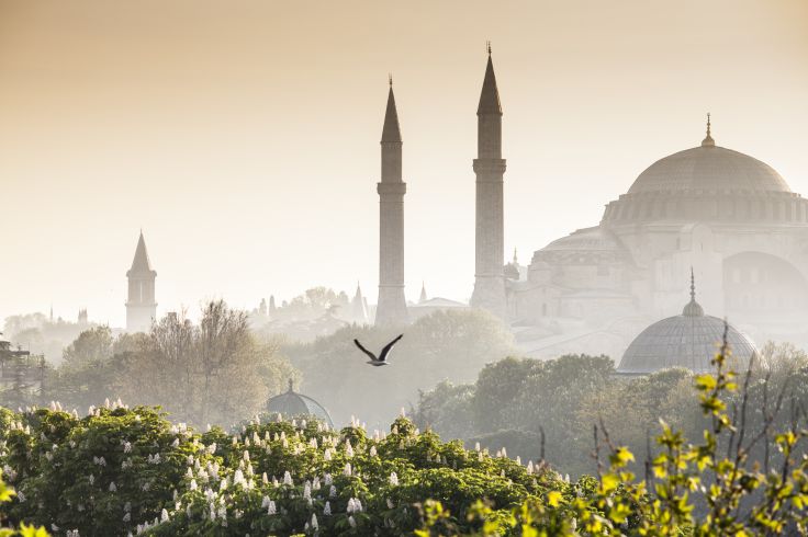 Istanbul - Turquie © travelwitness/stock.adobe.com