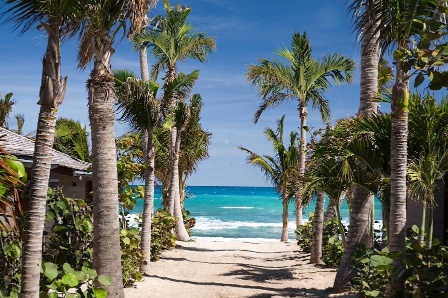 Anse de Cayes - Saint Barthélémy © Max VanderNoot