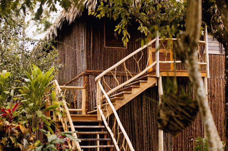 Mountain Pine Ridge - Belize © Droits reservés