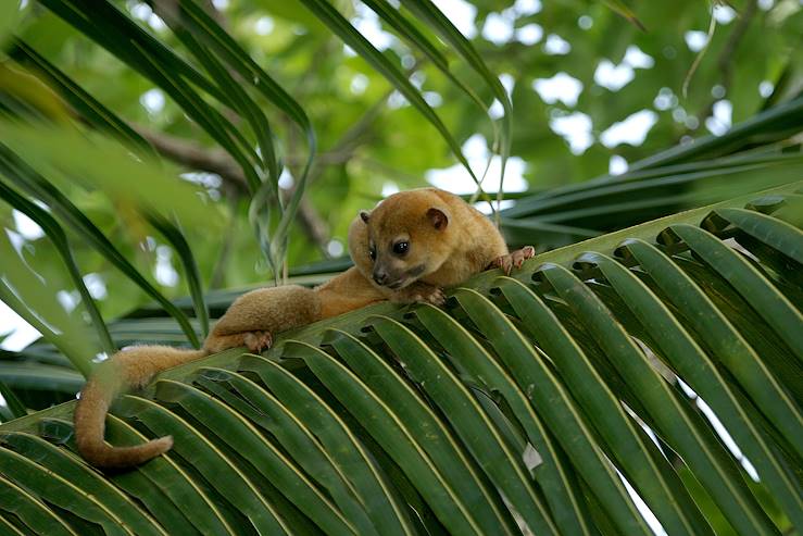 Belize © Droits reservés