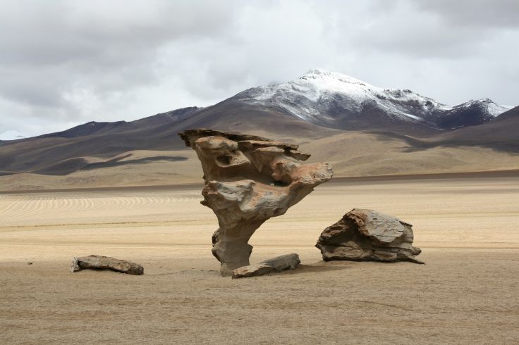 Arbre de pierre - Bolivie © Roger Salazar / Gaston Sacaze