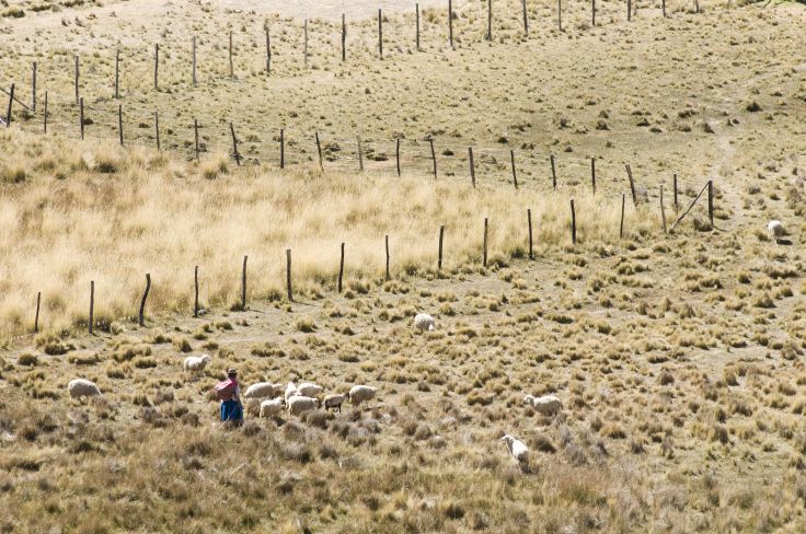 Isla del Sol - Bolivie © Andréas Cuenca Olaondo/Getty Images/iStockphoto