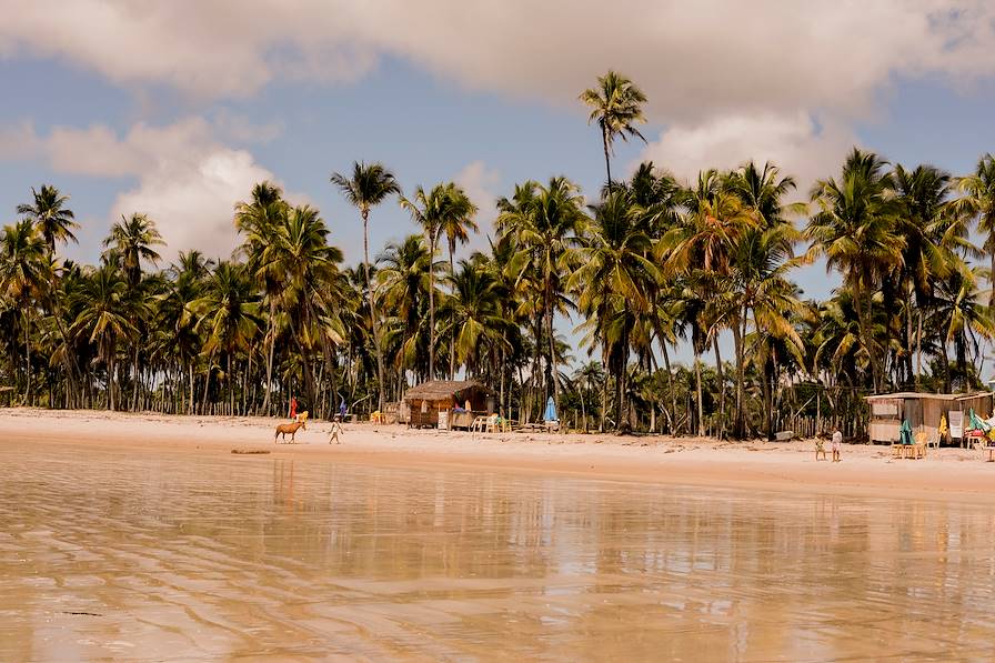 Ile de Boipeba - Bahia - Brésil © Alix Pardo