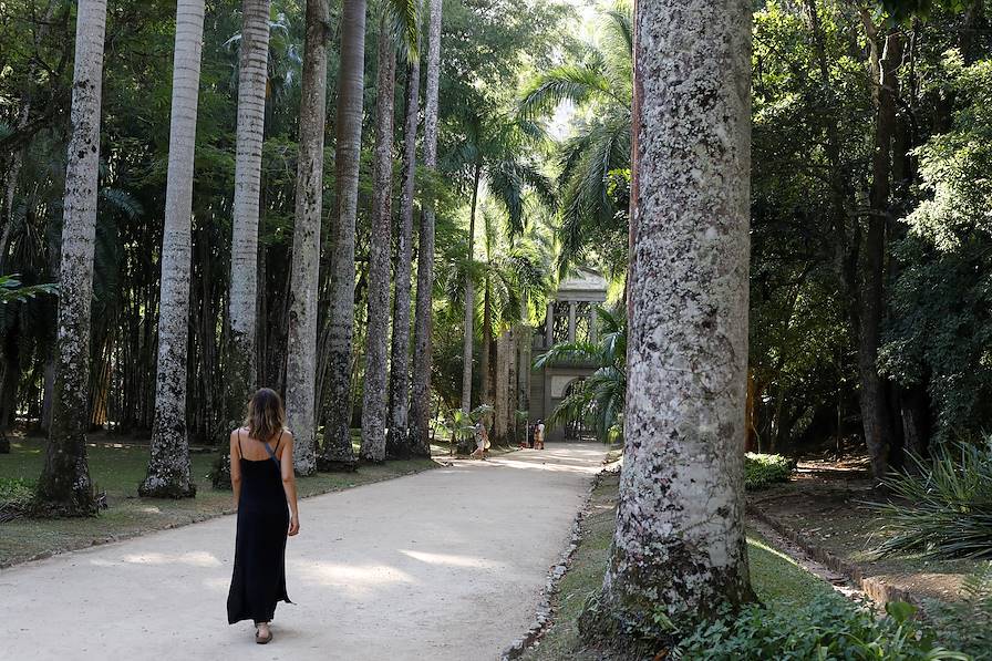 Jardin Botanique - Rio do Janeiro - Brésil © Alix Pardo