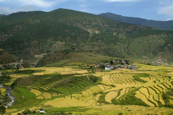 Punakha - Bhoutan © Fritz Hiersche / Getty Images / iStockphoto