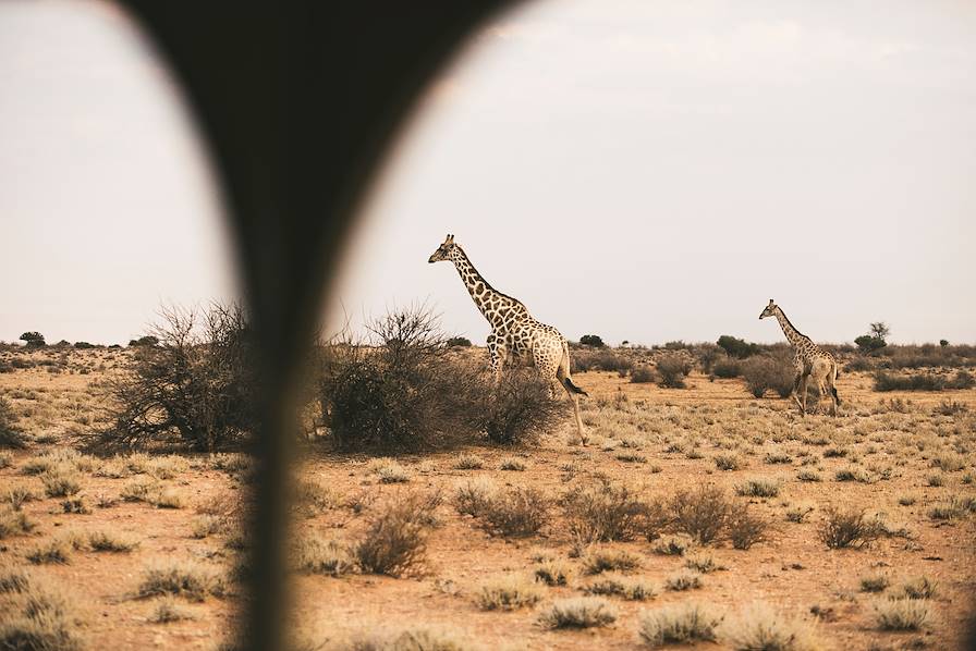 Desert du Kalahari - Botswana © Un Cercle