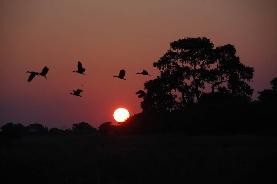 Okavango - Botswana © Aminata Konte