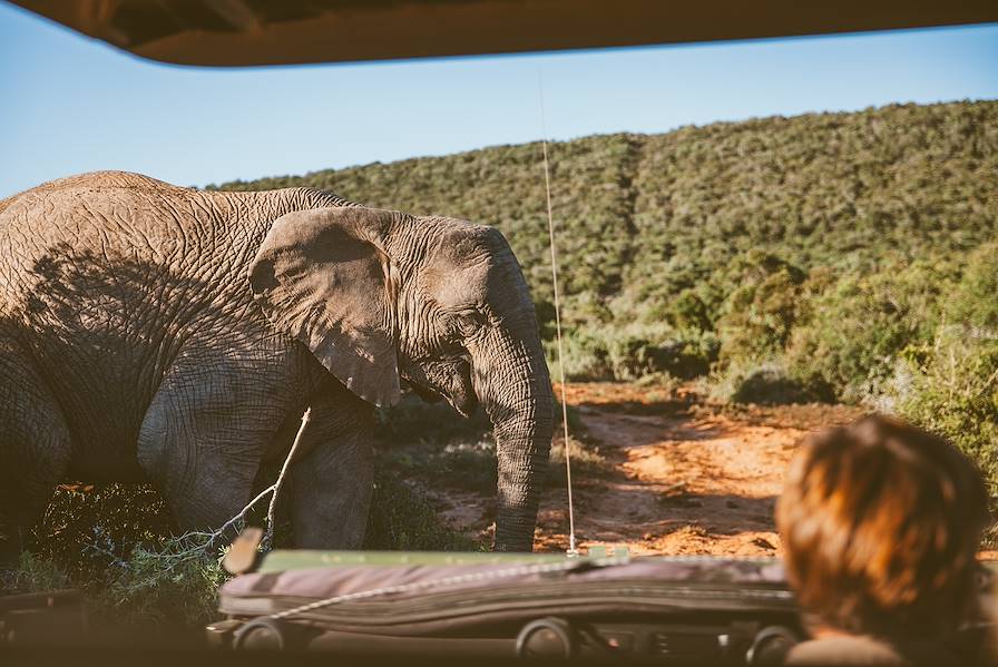 Botswana © Chalffy/Getty Images