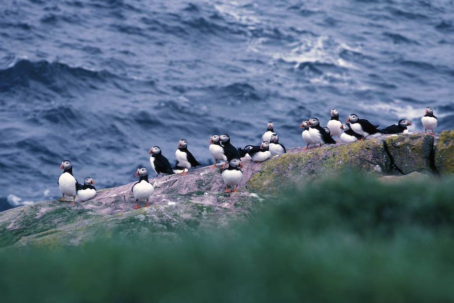 Terre-Neuve-et-Labrador - Canada © Hemera Technologies/Getty Images