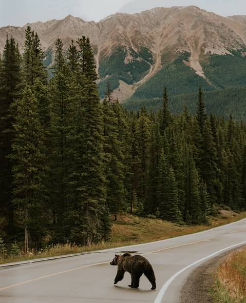 Canada © Celestine Aerden / Travel Alberta