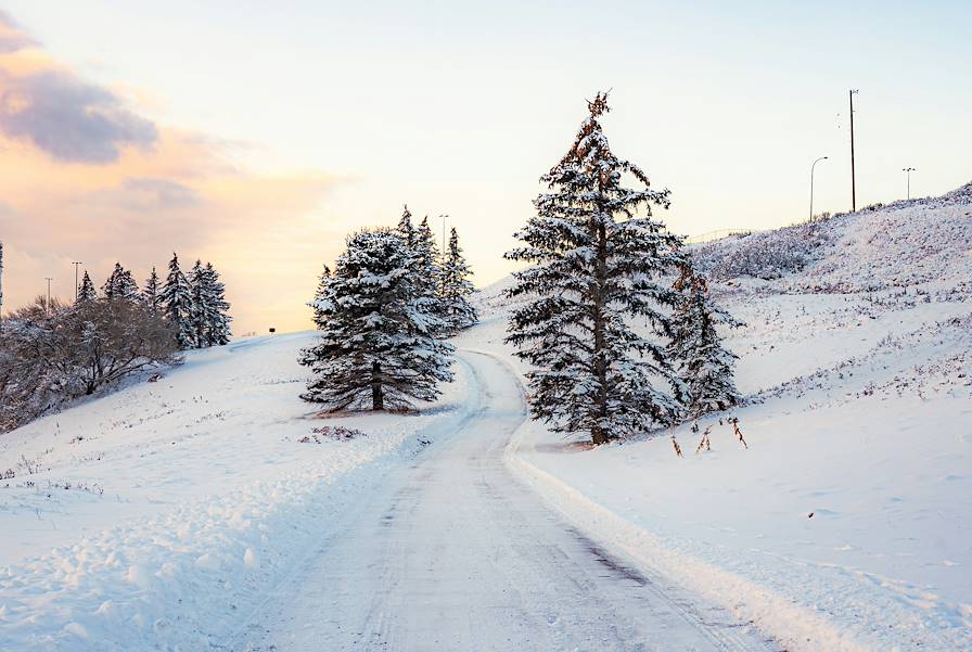 Calgary - Alberta - Canada © Ryunosuke Kikuno / Unsplash.com