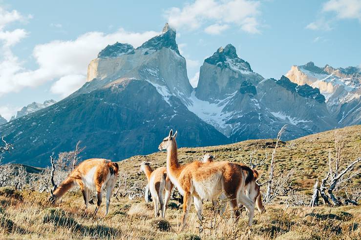 Parc Torres del Paine - Chili © espiegle/Getty Images/iStockphoto