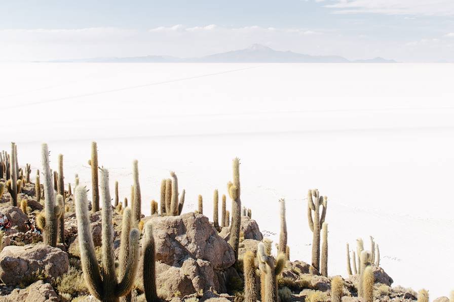 Salar d'Uyuni - Bolivie © Kevin Faingnaert