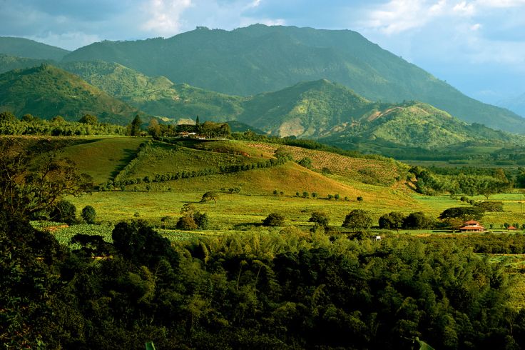 Armenia - Colombie © Antonio Castaneda Buraglia