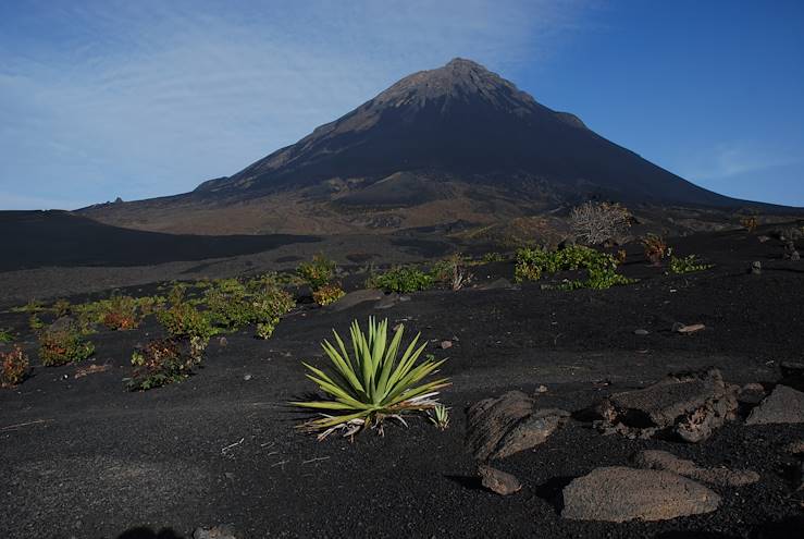 Caldeira et volcan Pico - Culture de la vigne - Ile de Fogo © Patrick Le Floc'h