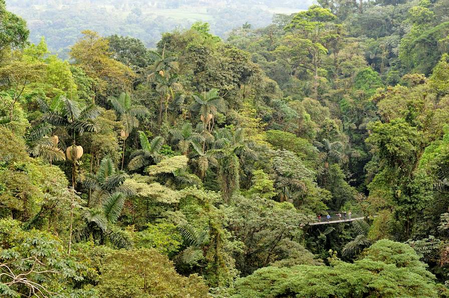 Parc national du Volcan Arenal - Costa Rica © Pierre Chouinard/Istock