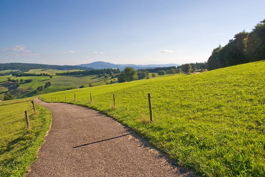 Foret Noire - Allemagne © Peresanz / Fotolia.com