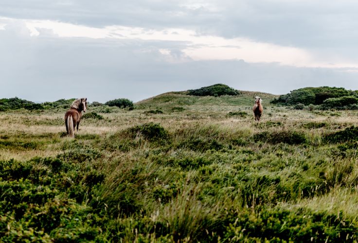 Jutland - Danemark © Mette Johnsen/VisitDenmak