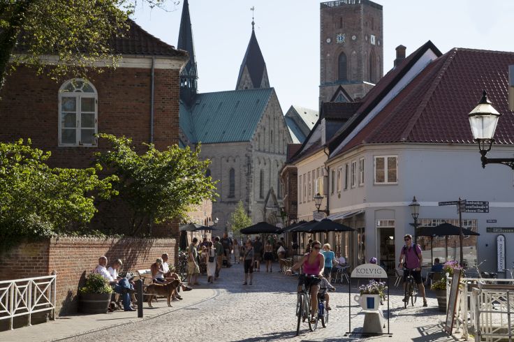 Ribe - Jutland - Danemark © Kim Wyon/VisitDenmark