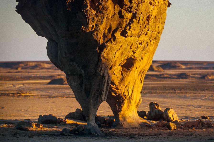 Tassili N'Ajjer - désert du Sahara © robertonencini - stock.adobe.com