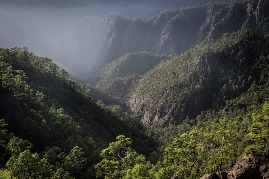 Parc national de la Caldeira de Taburiente - La Palma - Iles Canaries © Bruno Arbesu/REA