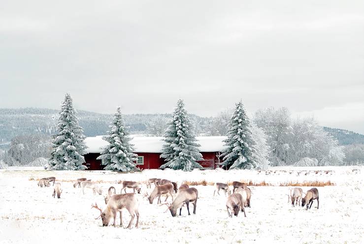 Laponie - Finlande © RolfAasa/Getty Images/iStockphoto