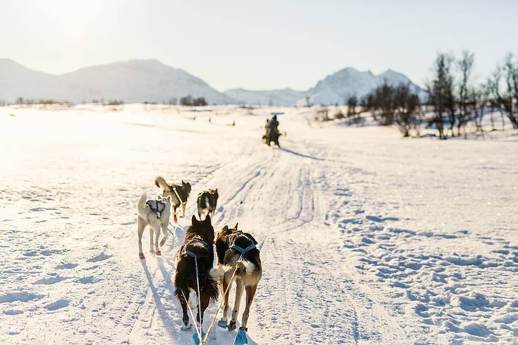 Laponie - Finlande © Alexander Shalamov/BlueOrange Studio/stock.adobe.com