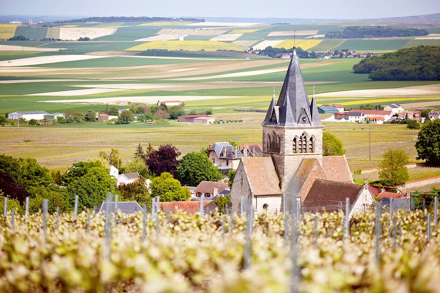 Ville-Dommange - France © stocknshares/Getty Images/iStockphoto