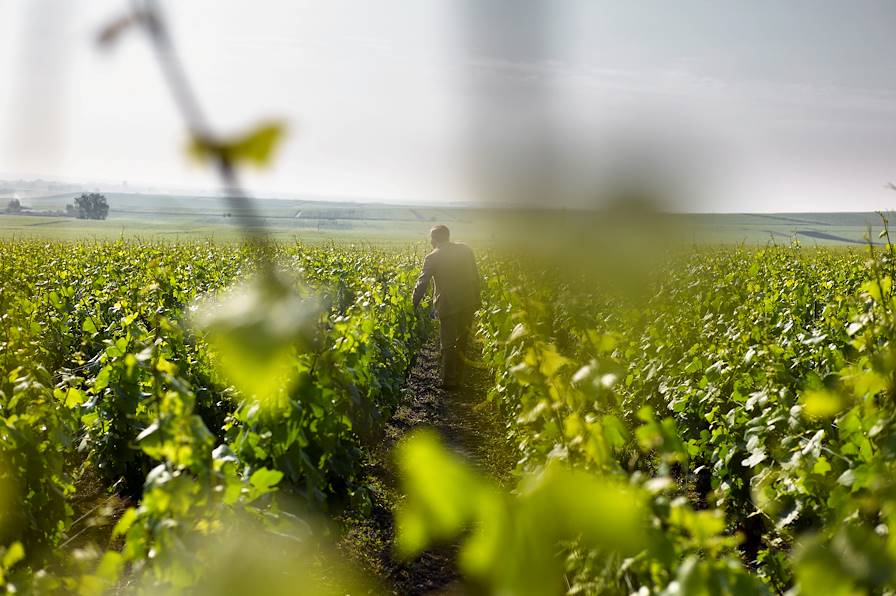 Champagne-Ardenne - France © Oliver Ruether/LAIF-REA