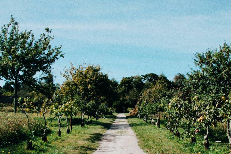 Bretagne - France © Faustine Poidevin