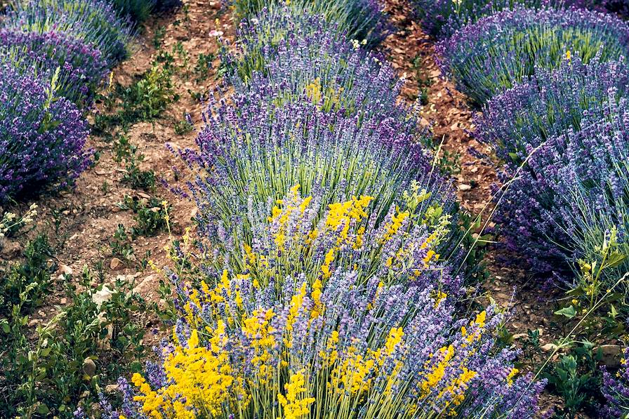 Provence - France © Jérôme Galland