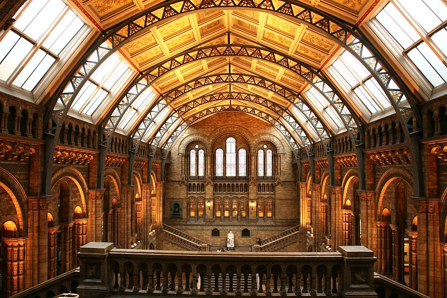 Musée d'histoire naturelle de Londres - Angleterre - Royaume-Uni © Getty Images/iStockphoto