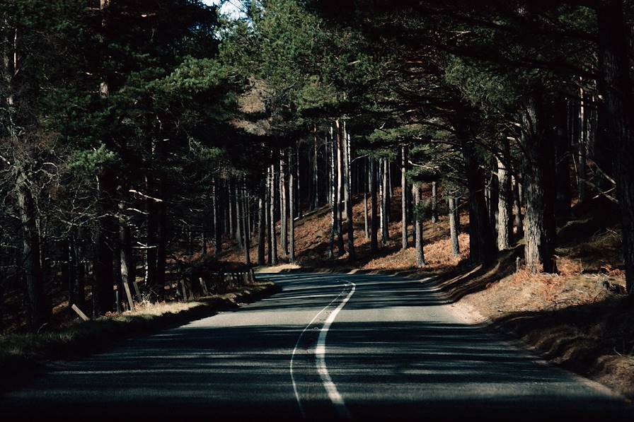 Cairngorms National Park - Highlands - Ecosse © Faustine Poidevin