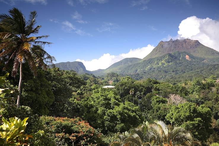 Parc national de la Soufrière - Saint Claude - Guadeloupe © Iris Kuerschner/LAIF-REA