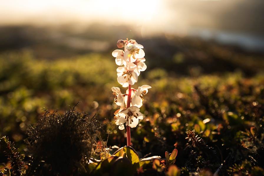 Sisimiut - Groenland © Aningaaq R Carlsen/Visit Greenland