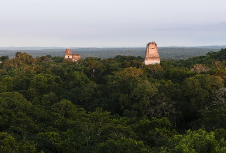 Parc National de Tikal - Guatemala © chrisncami/Getty Images/iStockphoto