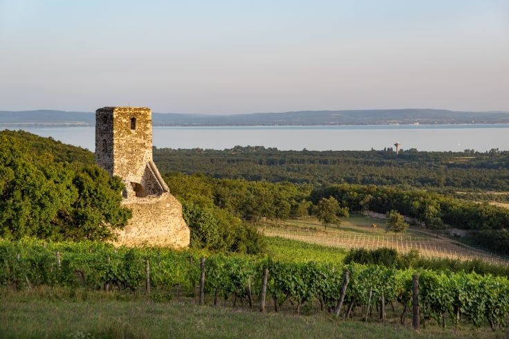 Lac Balaton - Hongrie  © laszloszelenczey/stock.adobe.com