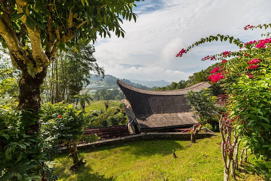 Pays Toraja - Région de Makassar - Sulawesi - Indonésie © Getty Images/iStockphoto