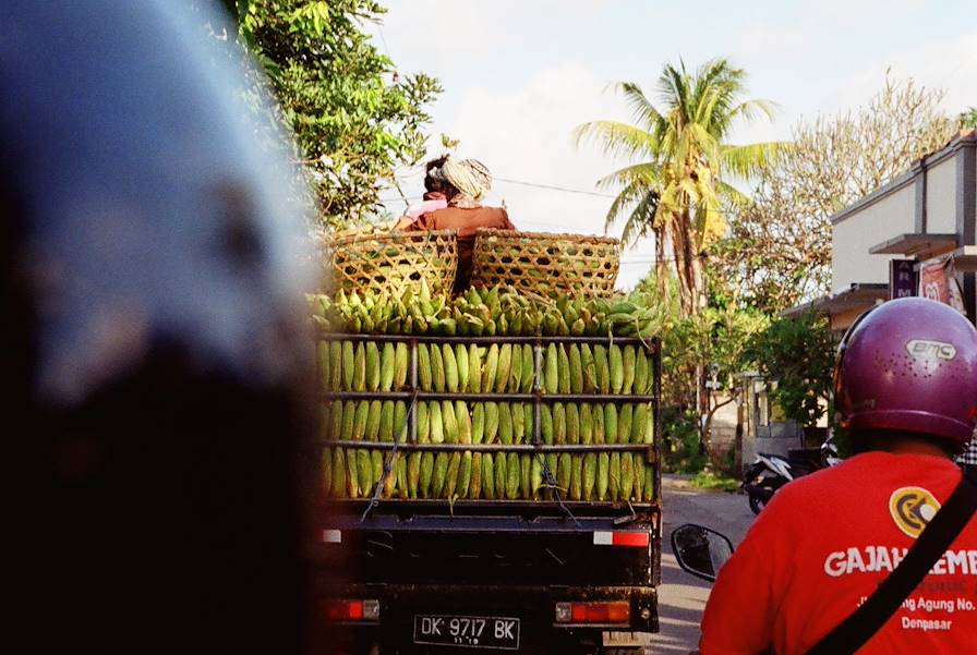 Bali - Indonésie © Alix Pardo