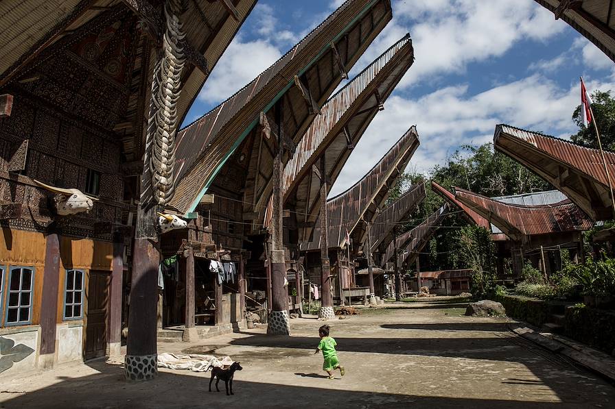 Toraja - Sulawesi - Indonésie © Agung Parameswara/LAIF-REA