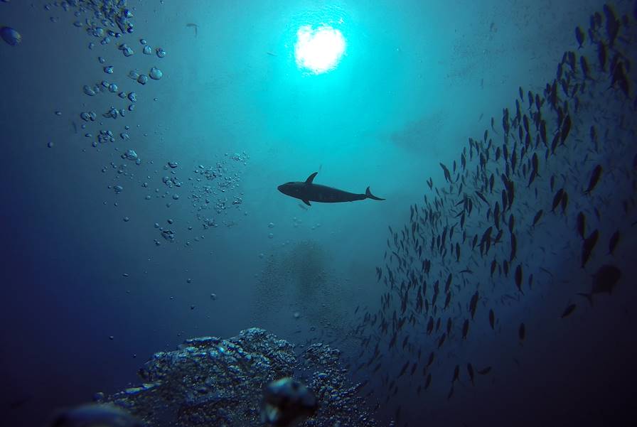 Archipel des Raja Ampat - Indonésie © Patricia - stock.adobe.com